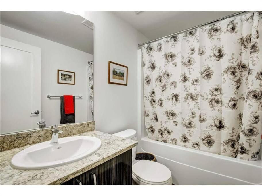 3 Beds; 2 Baths, Downtown Center; Ac; Pet Friendly *